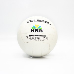 Pelota Voley 