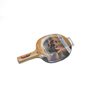 Paleta de Ping Pong 